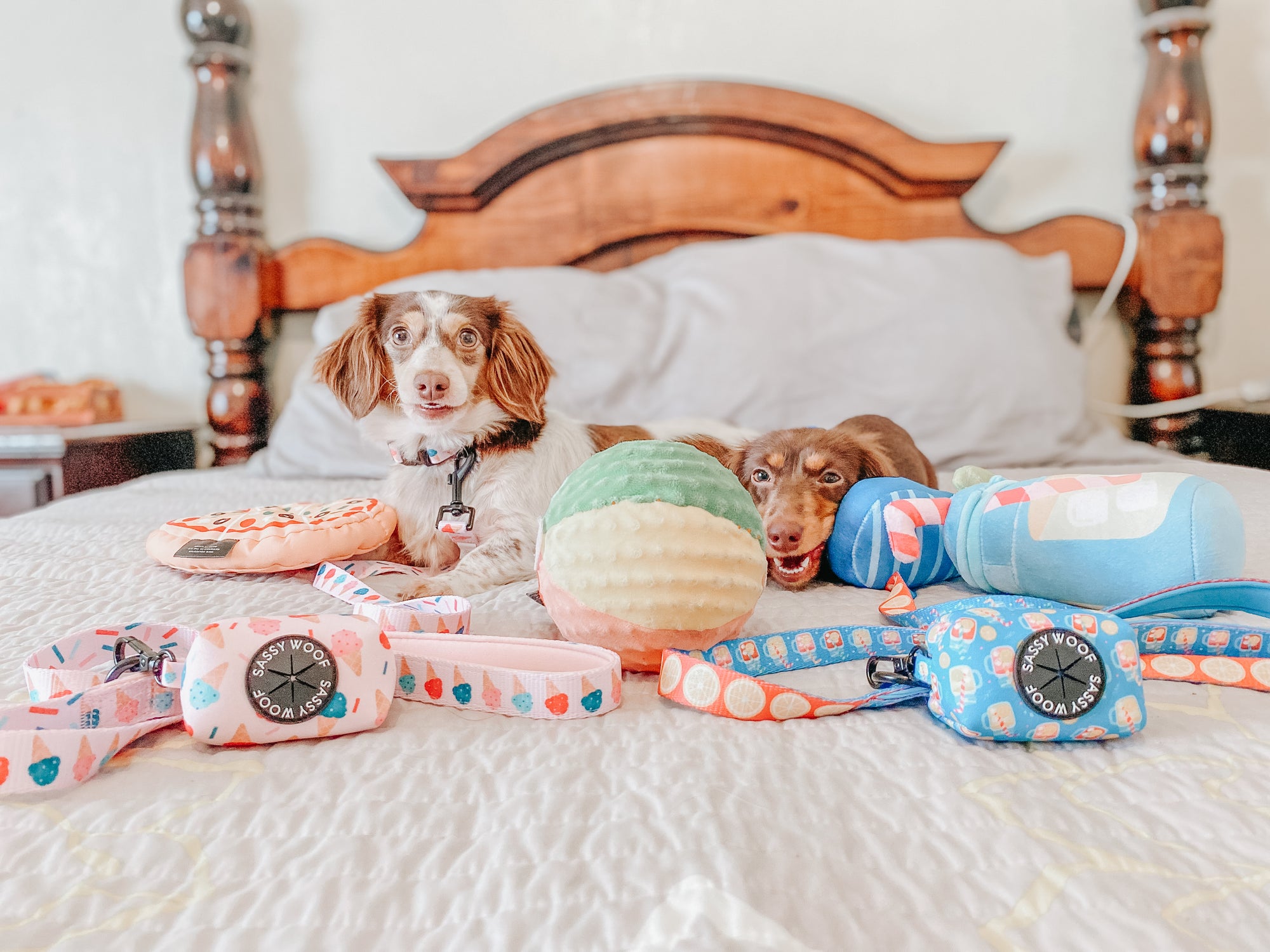 INFLUENCER_CONTENT | @THELUNATICDOXIESISTERS