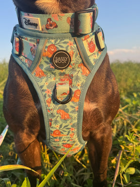 INFLUENCER_CONTENT | @_THEPITTYPACK_ I COLLAR SIZE: L & HARNESS SIZE: L
