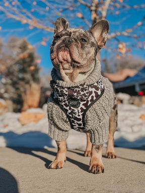 INFLUENCER_CONTENT | @THE.SNORT.SQUAD | SIZE L