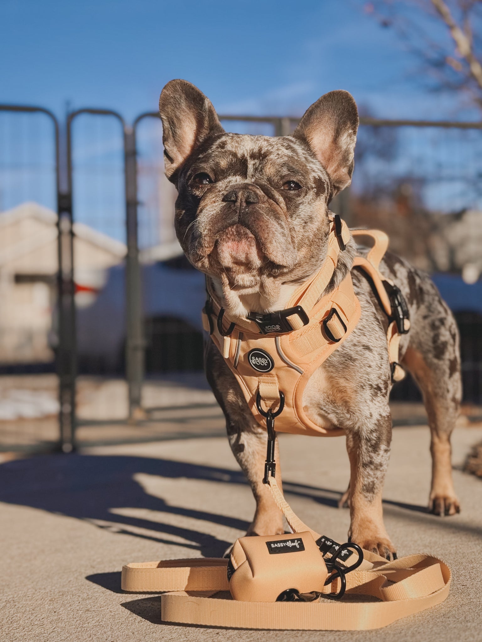 INFLUENCER_CONTENT | @THE.SNORT.SQUAD | SIZE M & M