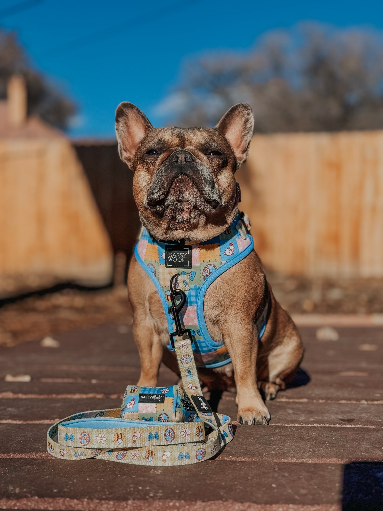 INFLUENCER_CONTENT | @THE.SNORT.SQUAD| SIZE M & M