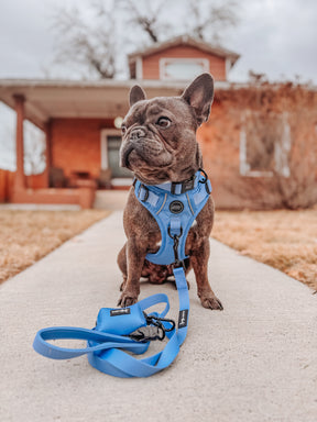 INFLUENCER_CONTENT | @THE.SNORT.SQUAD| SIZE M & M