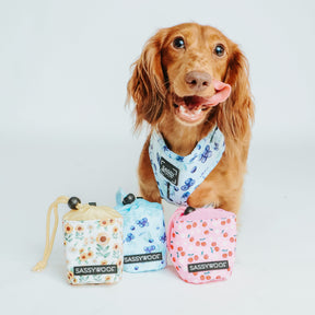 Treat Pouch - Berry Sassy