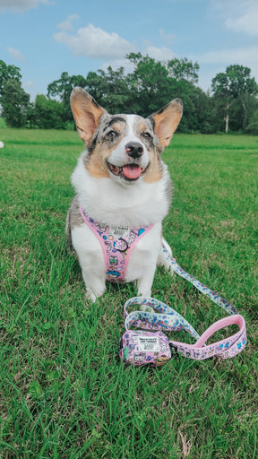 INFLUENCER_CONTENT | @PETUNIAJUNE_CORGI | SIZE M