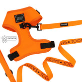 Dog Two Piece Bundle - Neon Orange