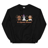 Sweatshirt - It's Spooky Season (CAVS)
