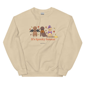 Sweatshirt - It's Spooky Season (DOODLES)