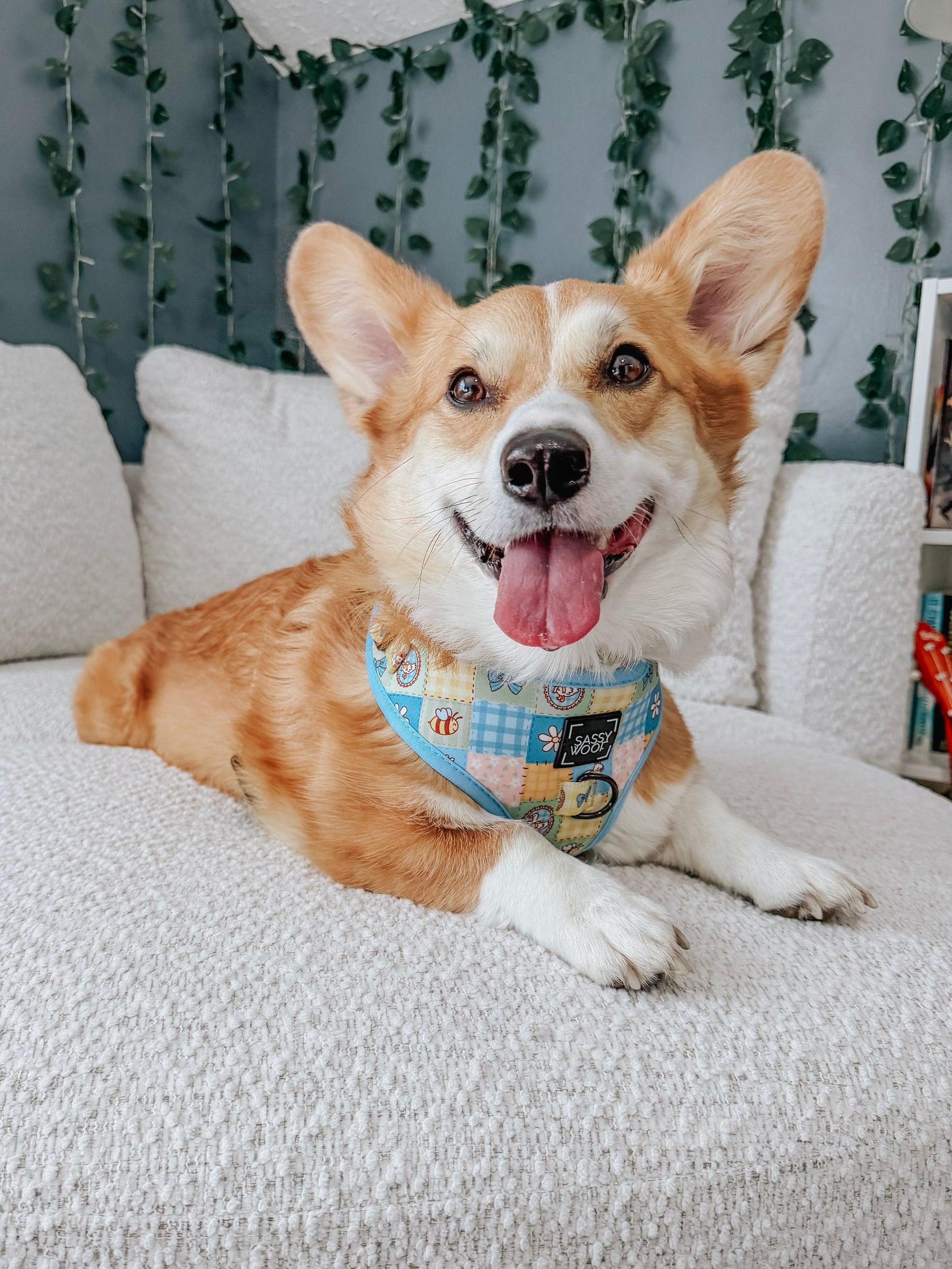 INFLUENCER_CONTENT | @WAFFLE.THE.WIGGLEBUTT| SIZE L