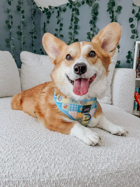 INFLUENCER_CONTENT | @WAFFLE.THE.WIGGLEBUTT| SIZE L