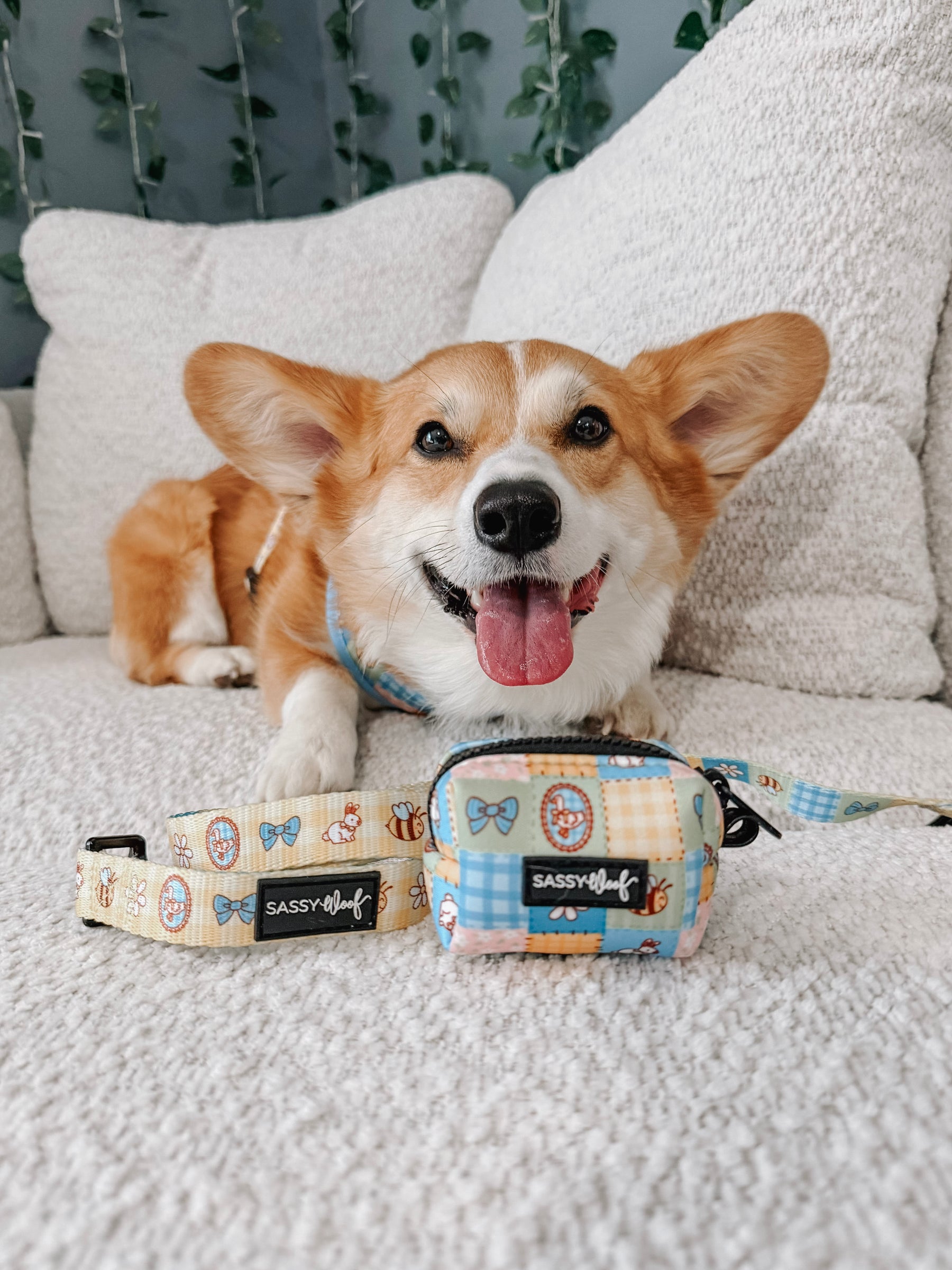 INFLUENCER_CONTENT | @WAFFLE.THE.WIGGLEBUTT| SIZE M & L