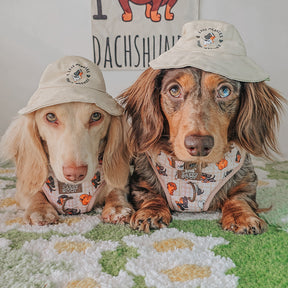INFLUENCER_CONTENT | @WAFFLESTHEHOTDOG
