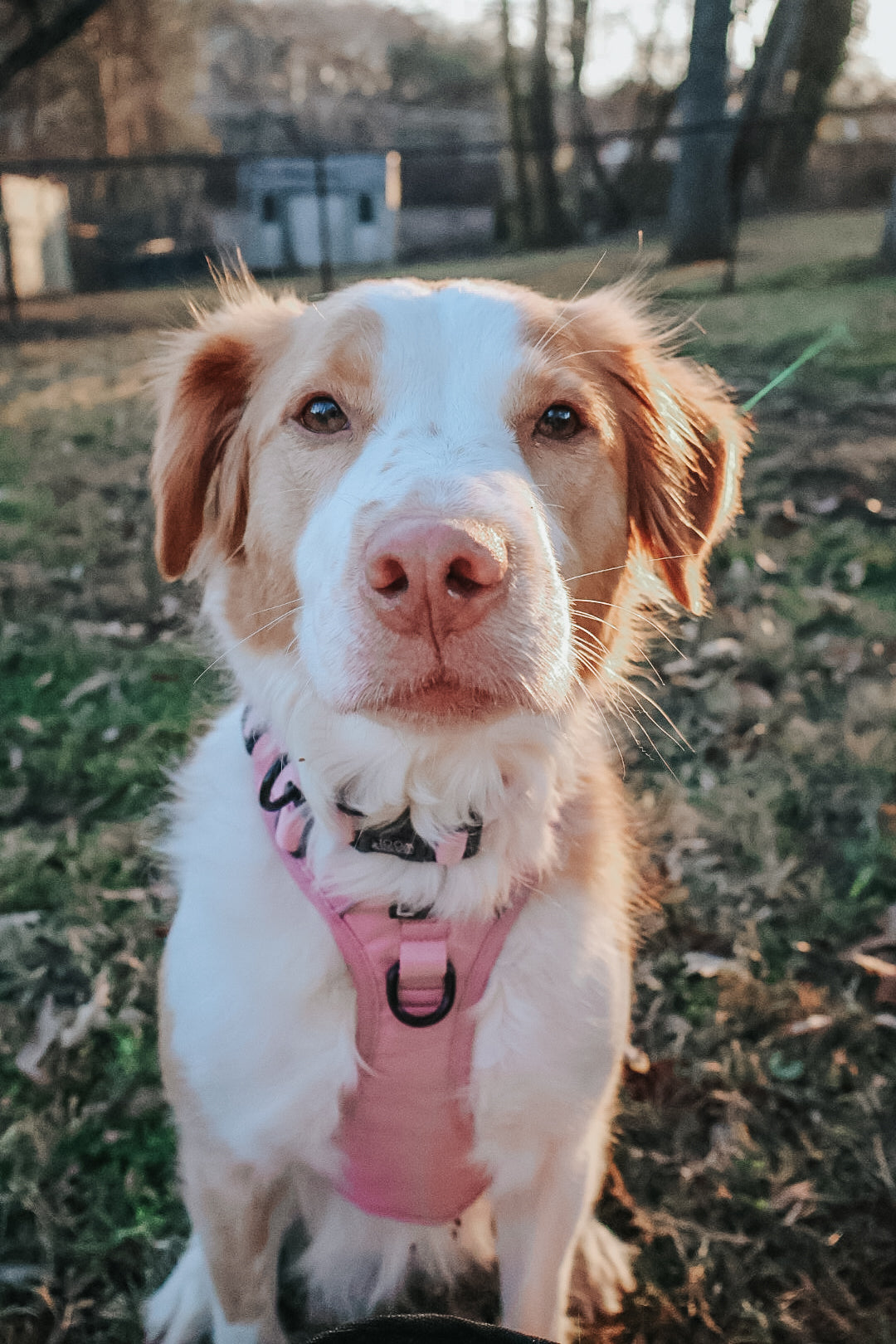 INFLUENCER_CONTENT | @WELLITSWILLOW | SIZE M