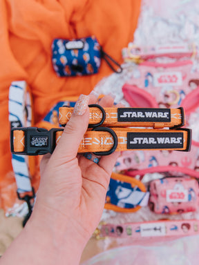 Dog Three Piece Bundle - STAR WARS™ Ahsoka