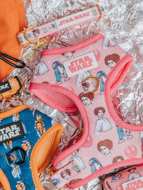 Dog Four Piece Bundle - STAR WARS™ Princess Leia