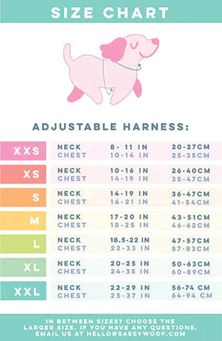 Adjustable Harness - Disney Princess Characters