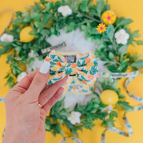 A hand with white nail polish holds the Sassy Woof Cat Bowtie - Zest Friends, featuring citrus and leaf patterns, in front of a lemon-adorned leafy wreath and white flowers on a bright yellow background.