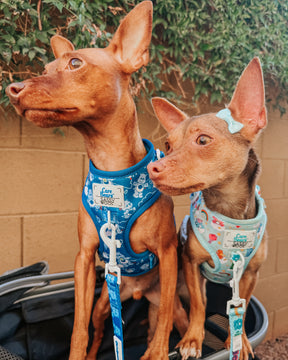 INFLUENCER_CONTENT | @ZEUS.THEMINPIN @JUNOTHEMEME | SIZE XS