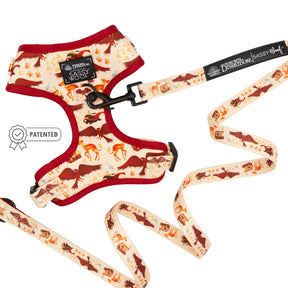 Dog Two Piece Bundle -  Fantastic Beasts
