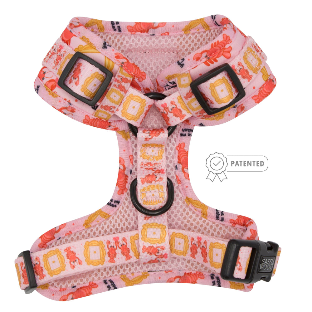 Dog Adjustable Harness Friends™ (Lobster) Sassy Woof Product