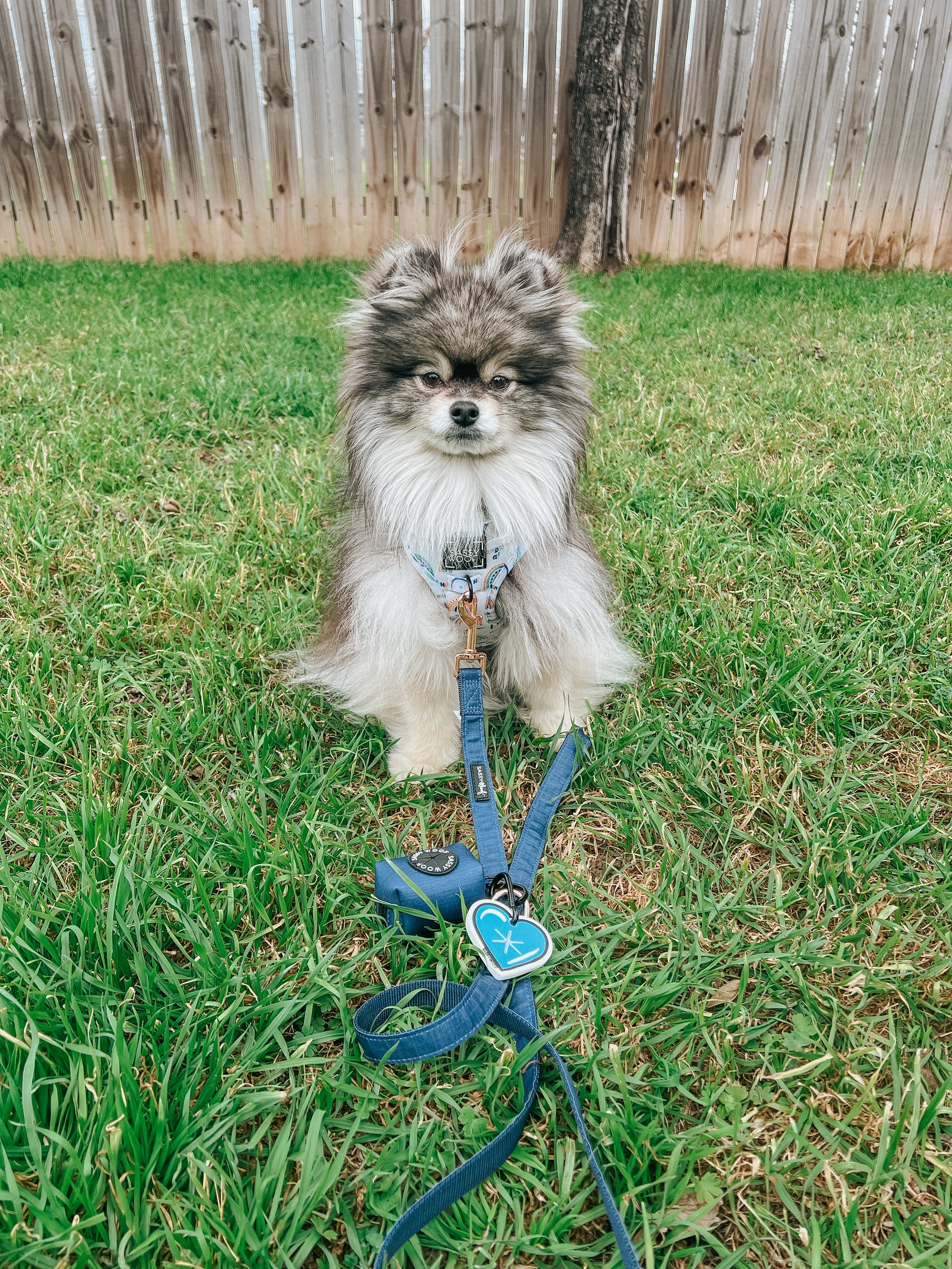 INFLUENCER_CONTENT | @REMUSTHEMINIWOLF
