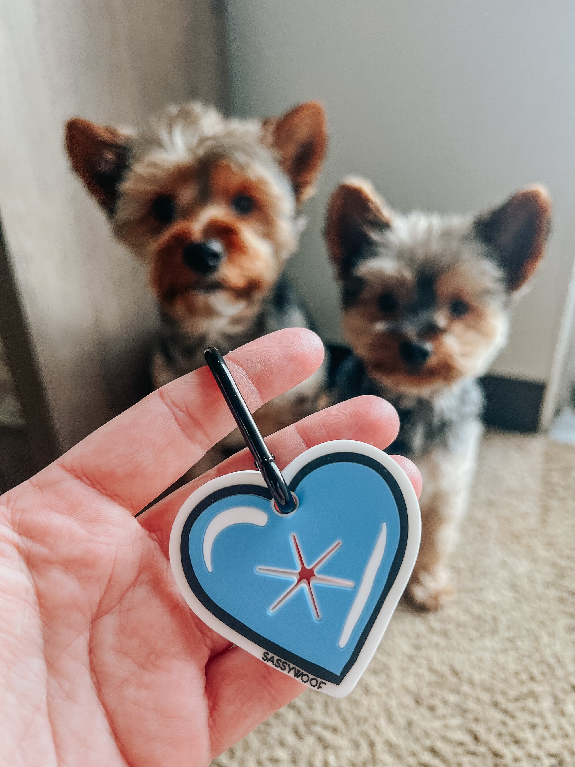 INFLUENCER_CONTENT | @YORKIEBROTHERSWINSTON_CHARLES