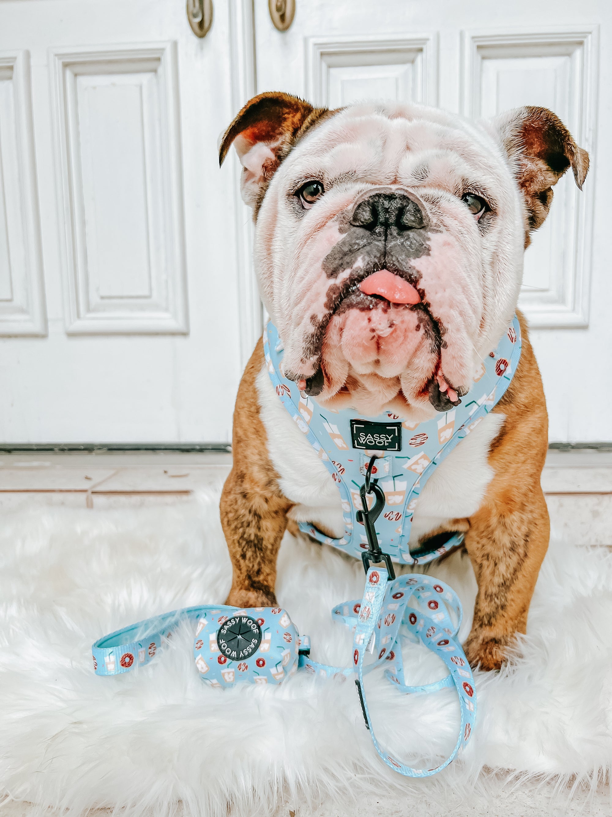 INFLUENCER_CONTENT | @ITSZEUSTHEBULLDOG | SIZE L