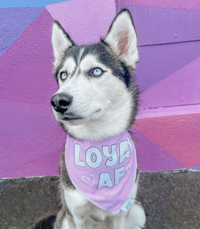 INFLUENCER_CONTENT | @EMMITHEHUSKYY | SIZE M