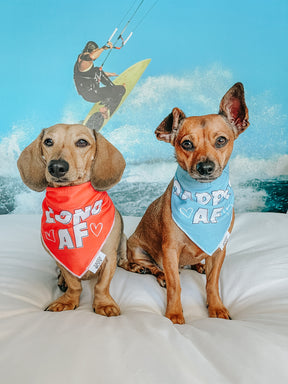 INFLUENCER_CONTENT | @FLORIDOGS | SIZE S