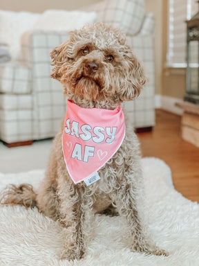 INFLUENCER_CONTENT | @HARPERTHECHOCOLATEDOODLE | SIZE S