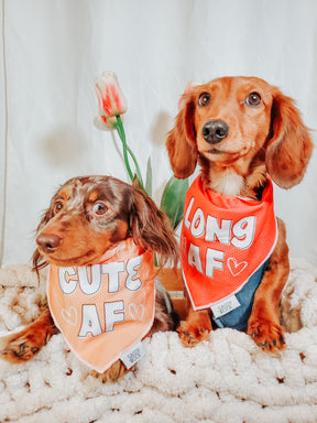 INFLUENCER_CONTENT | @SOPHIELEO.THEWEENIES | SIZE S