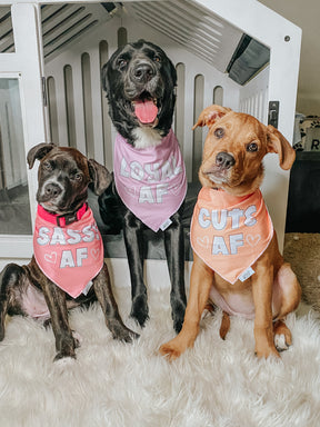 INFLUENCER_CONTENT | @THEOGPUPPERS | SIZE S