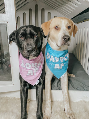 INFLUENCER_CONTENT | @THEOGPUPPERS | SIZE L