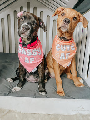 INFLUENCER_CONTENT | @THEOGPUPPERS | SIZE S