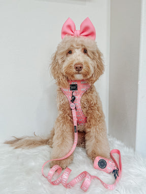 INFLUENCER_CONTENT | @ALL_ABOUT_AZELLA