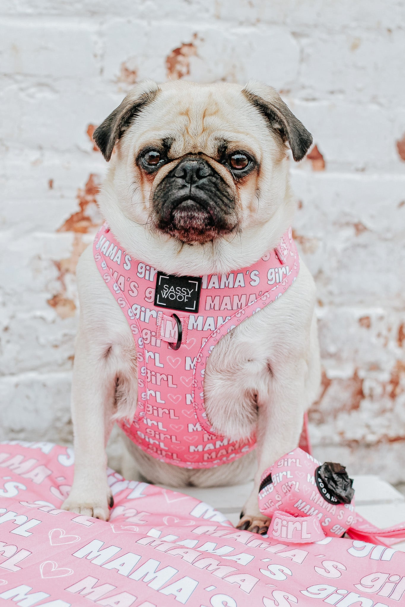 INFLUENCER_CONTENT | @LITTLEMISSYTHEPUG | SIZE M