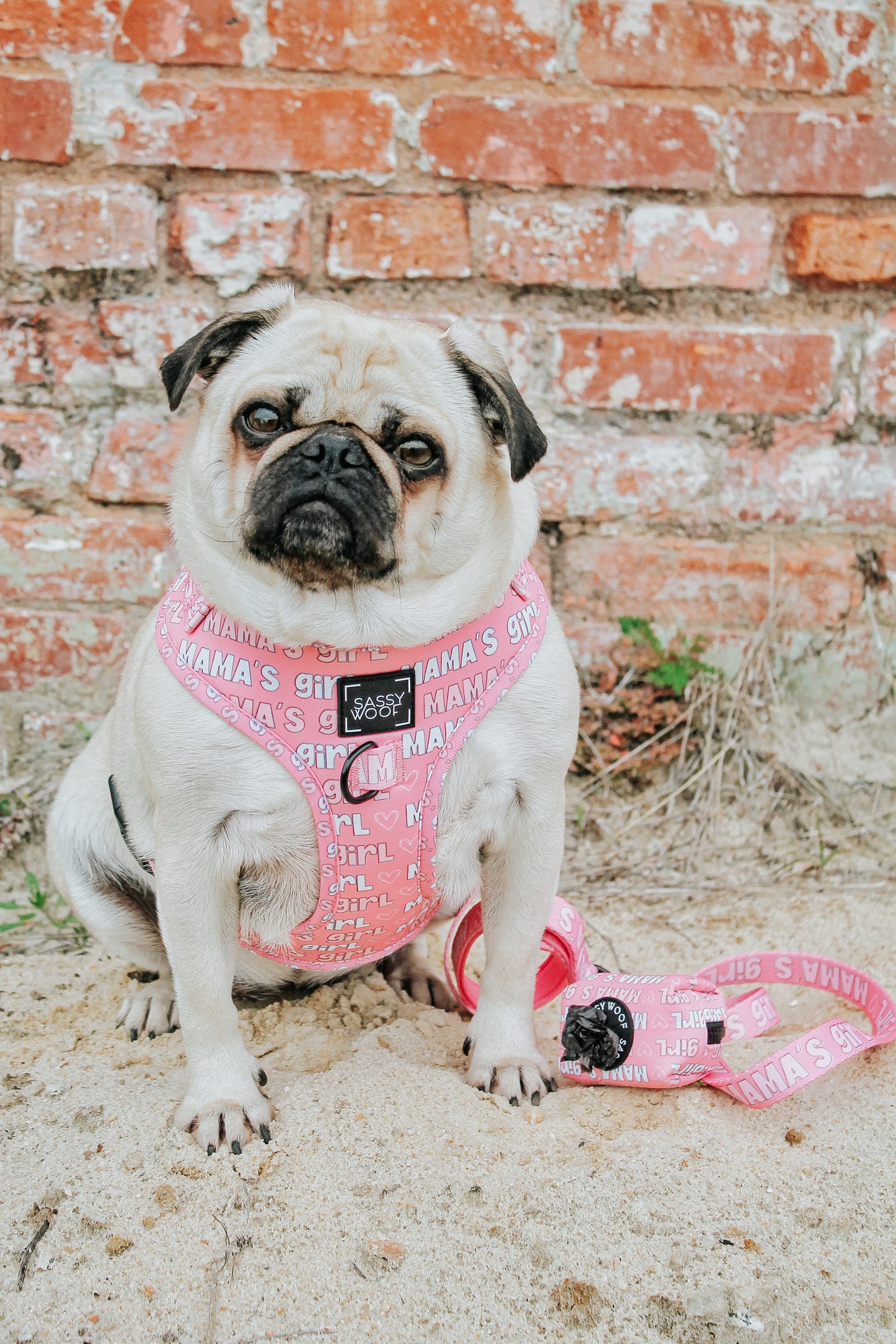INFLUENCER_CONTENT | @LITTLEMISSYTHEPUG | SIZE M/M