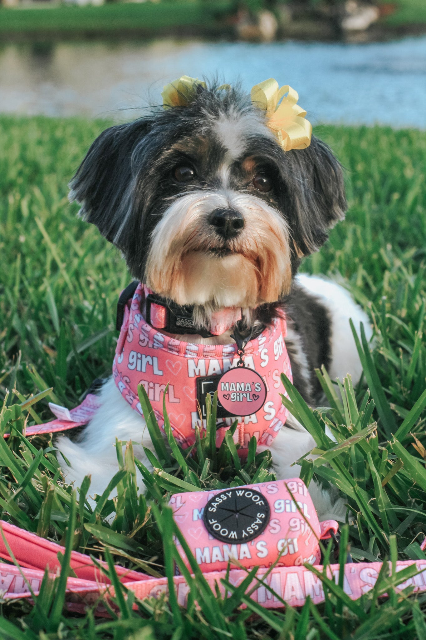INFLUENCER_CONTENT | @MOCHI.LAYORKIE | SIZE XS/XS