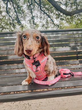 INFLUENCER_CONTENT | @MOCHI_THEMINIDAPPLE