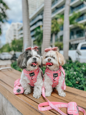 INFLUENCER_CONTENT | @ROSIEALIE