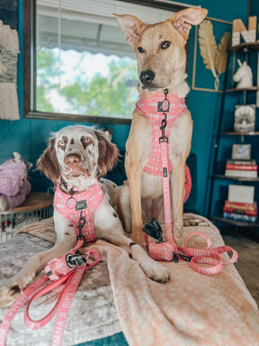 INFLUENCER_CONTENT | @TWOSPOTTEDGALS