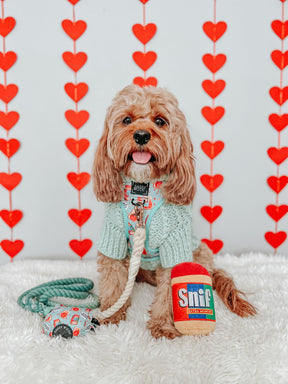 INFLUENCER_CONTENT | @SIT_OLLIE_SIT | SIZE S