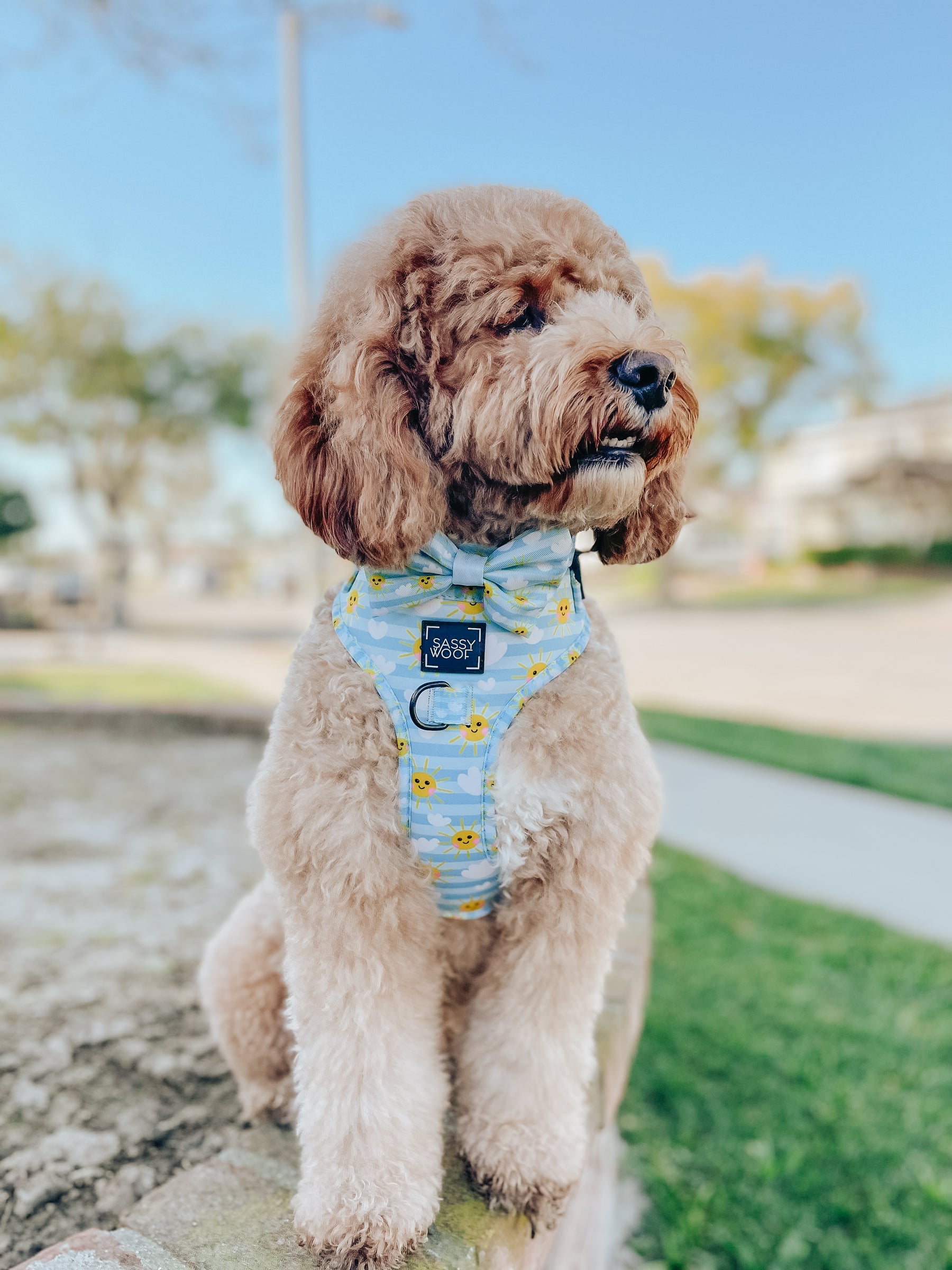 INFLUENCER_CONTENT | @ITSMEWILLOW