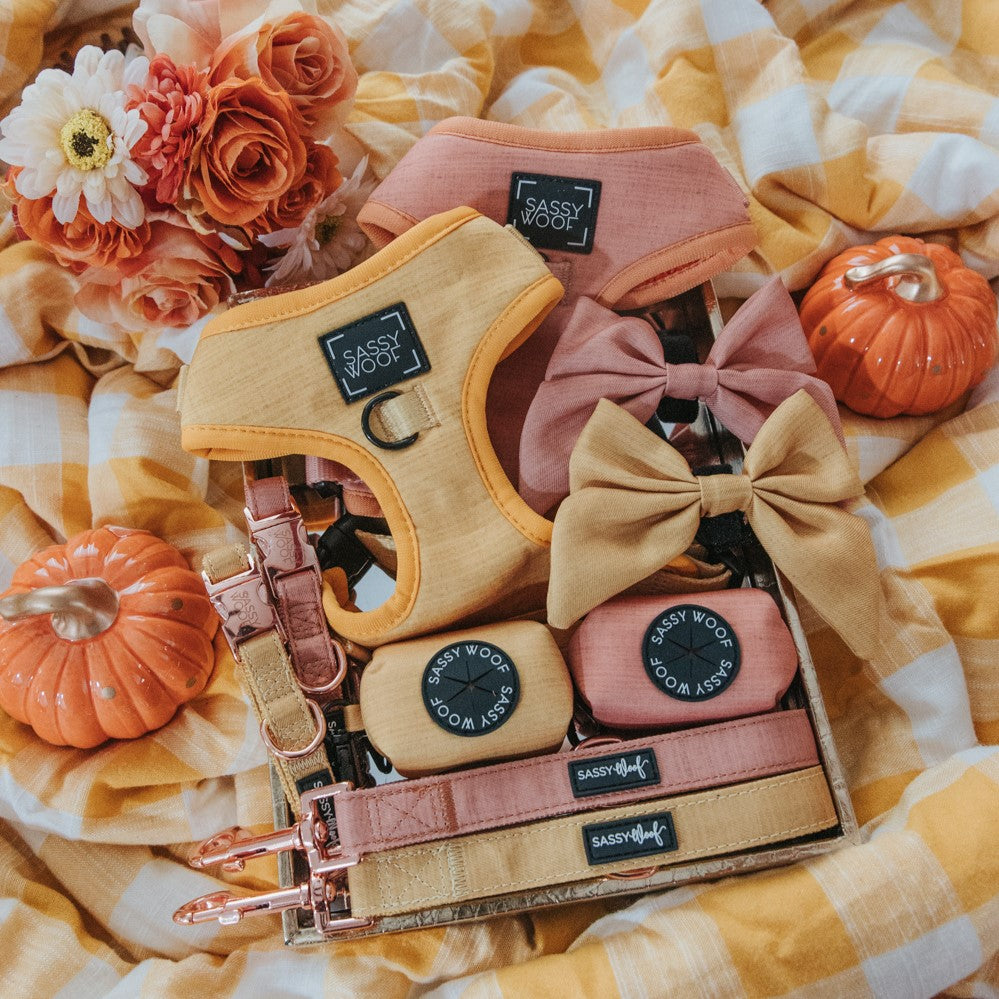 A flat lay of Sassy Woof dog accessories, featuring matching adjustable harnesses with rose gold hardware, the Dog Leash - Apple Cider, bowties, and waste bag holders on a plaid blanket with artificial pumpkins and flowers.