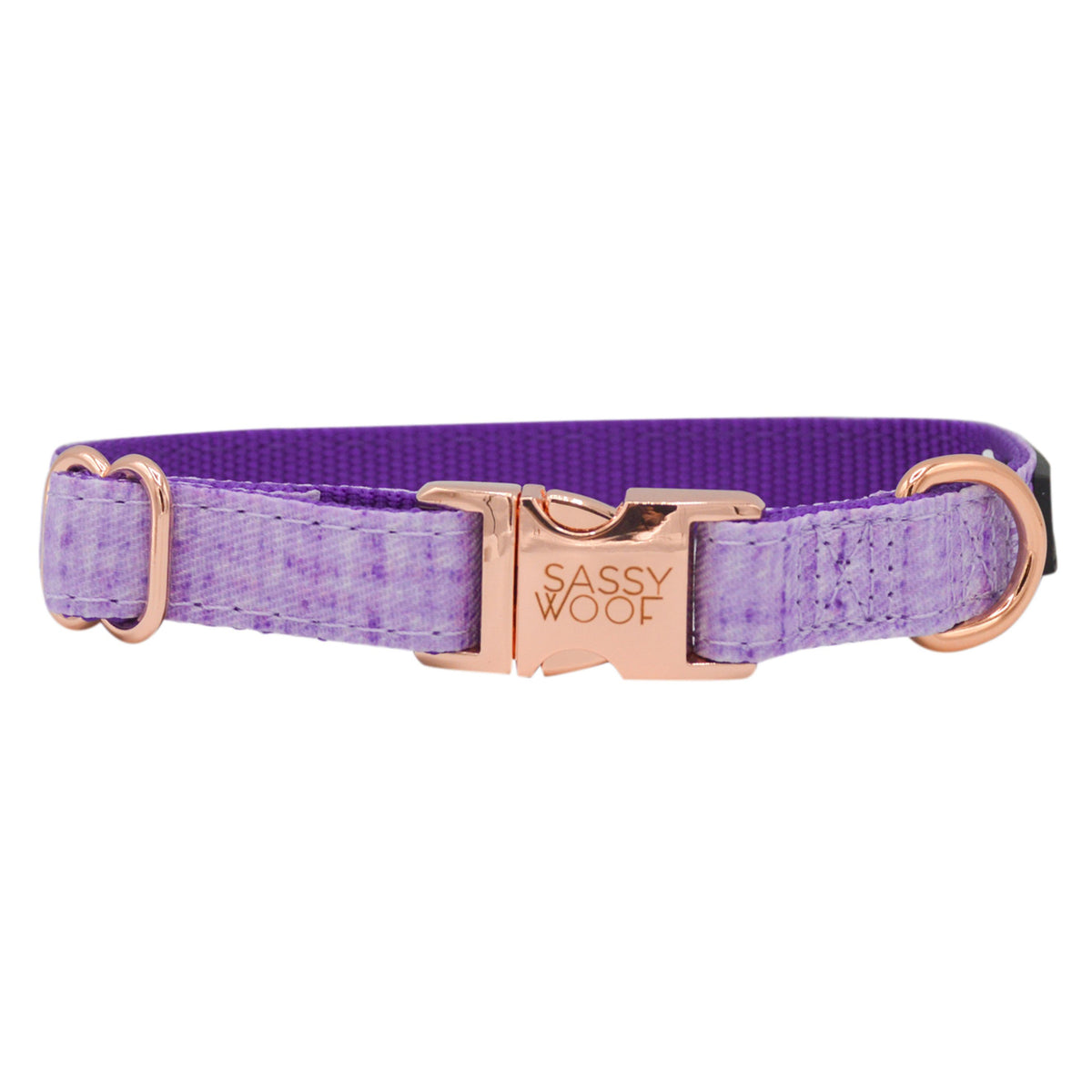 Dog Collar - Aurora