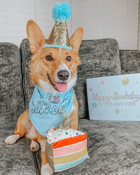 Dog Bandana - Barkday Blue