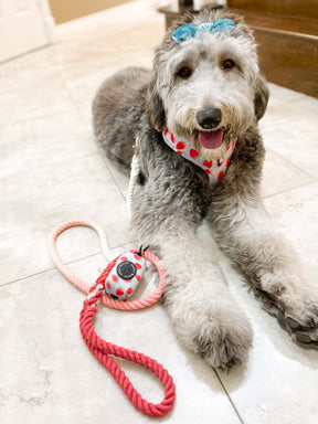 Dog Rope Leash - Poppy