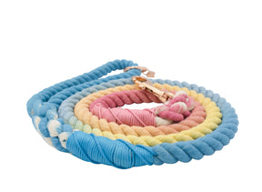 Dog Rope Leash - Bright