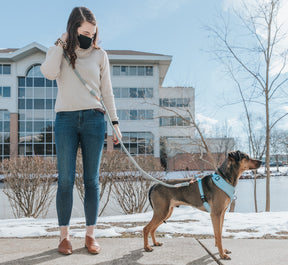 Hands Free Rope Leash - Azul