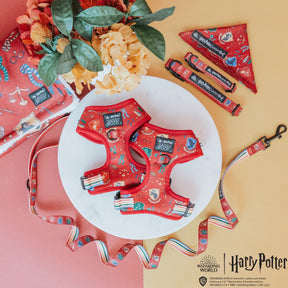 Harness Three Piece Bundle -  Harry Potter™