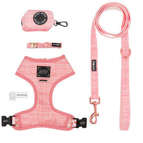 Dog Four Piece Bundle - Dolce Rose